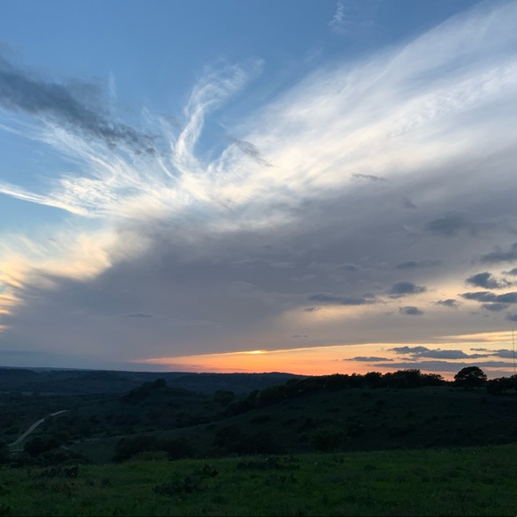 Meet your Posher, Lizzie - Picture 1 of 3